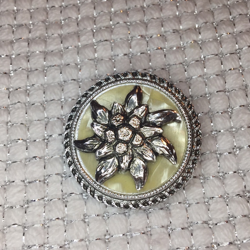 Scarf clip